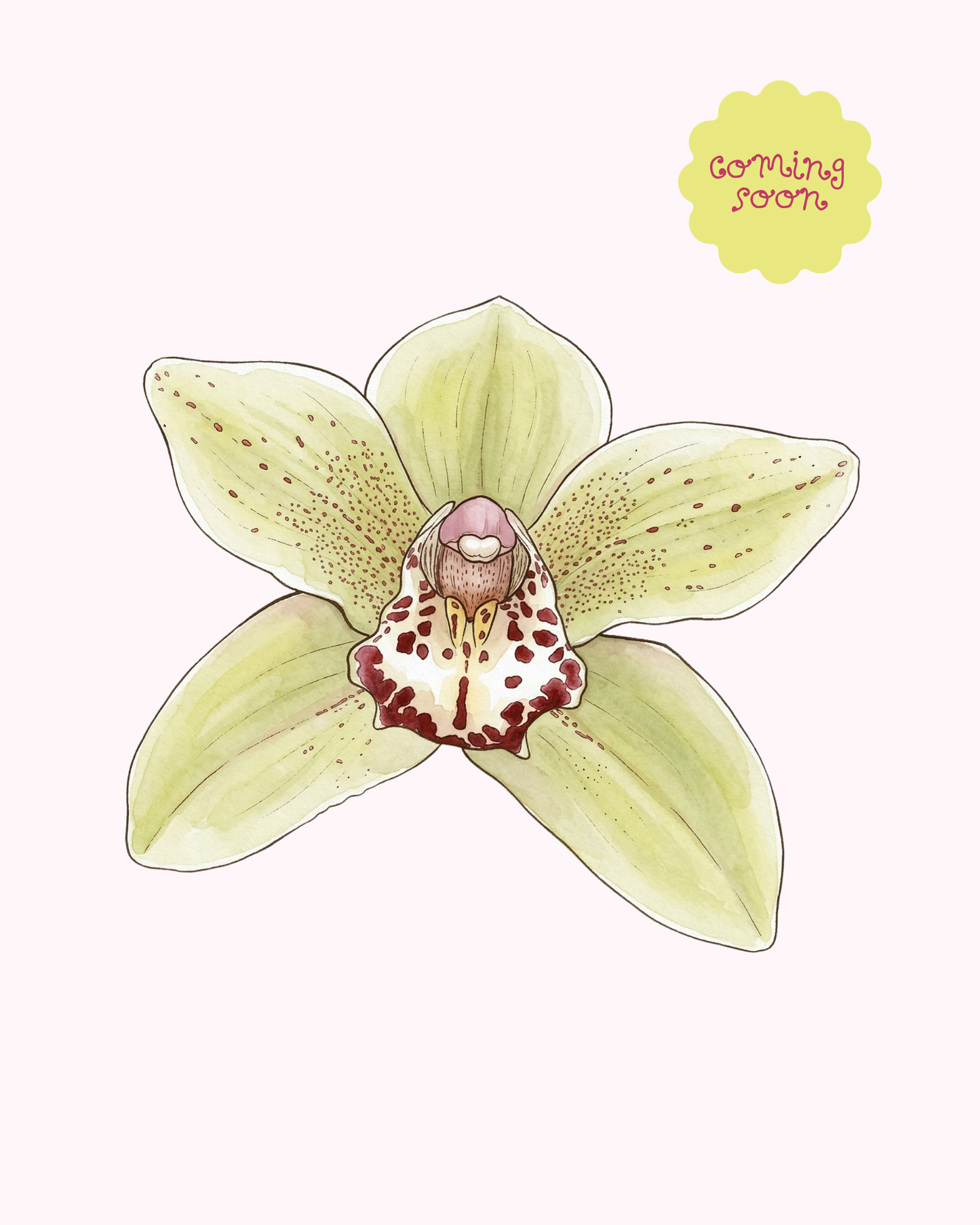 Green Orchid | Single Sticker