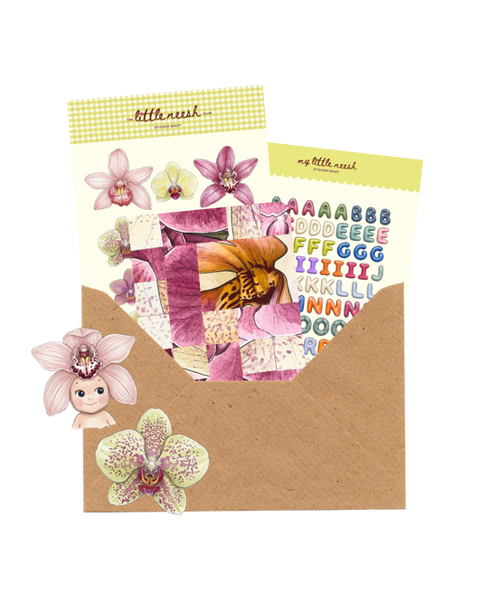 Edition 2 | Snail Mail Club *Past Edition*